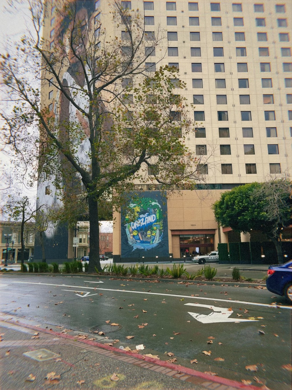 You Can Take the Girl Out of&nbsp;Oakland…