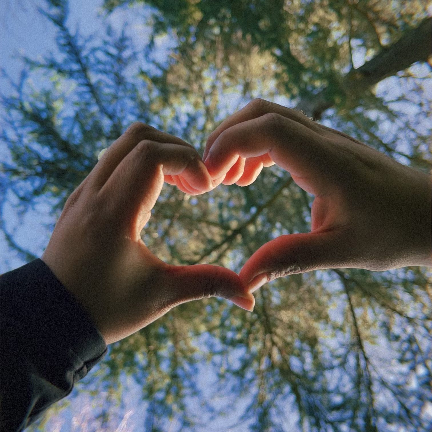 Photo of two hands forming a heart